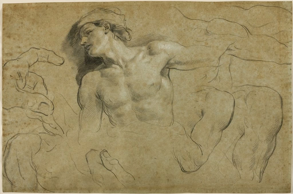 Studi di mani, spalle e gamba - Detroit Institute of Arts